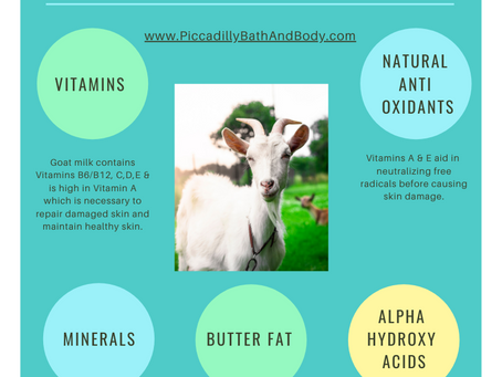 The Benefits Of Goat Milk Soap