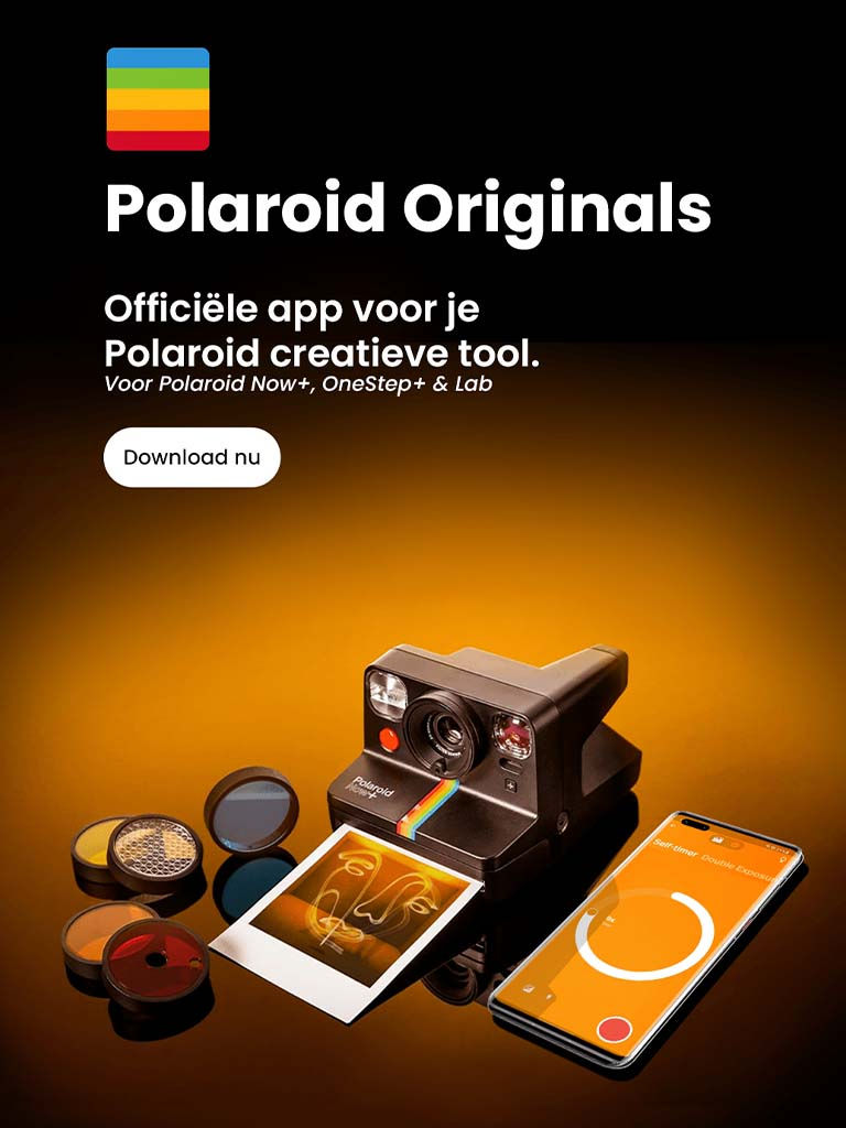 Brand Campaign & Banner