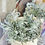 Thumbnail: White Sage ~ Organic Our Farm Grown - 40 grams