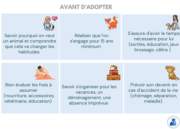 avant d'adopter.jpg