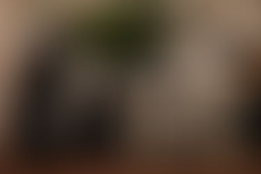 Why is oil important for extensions?