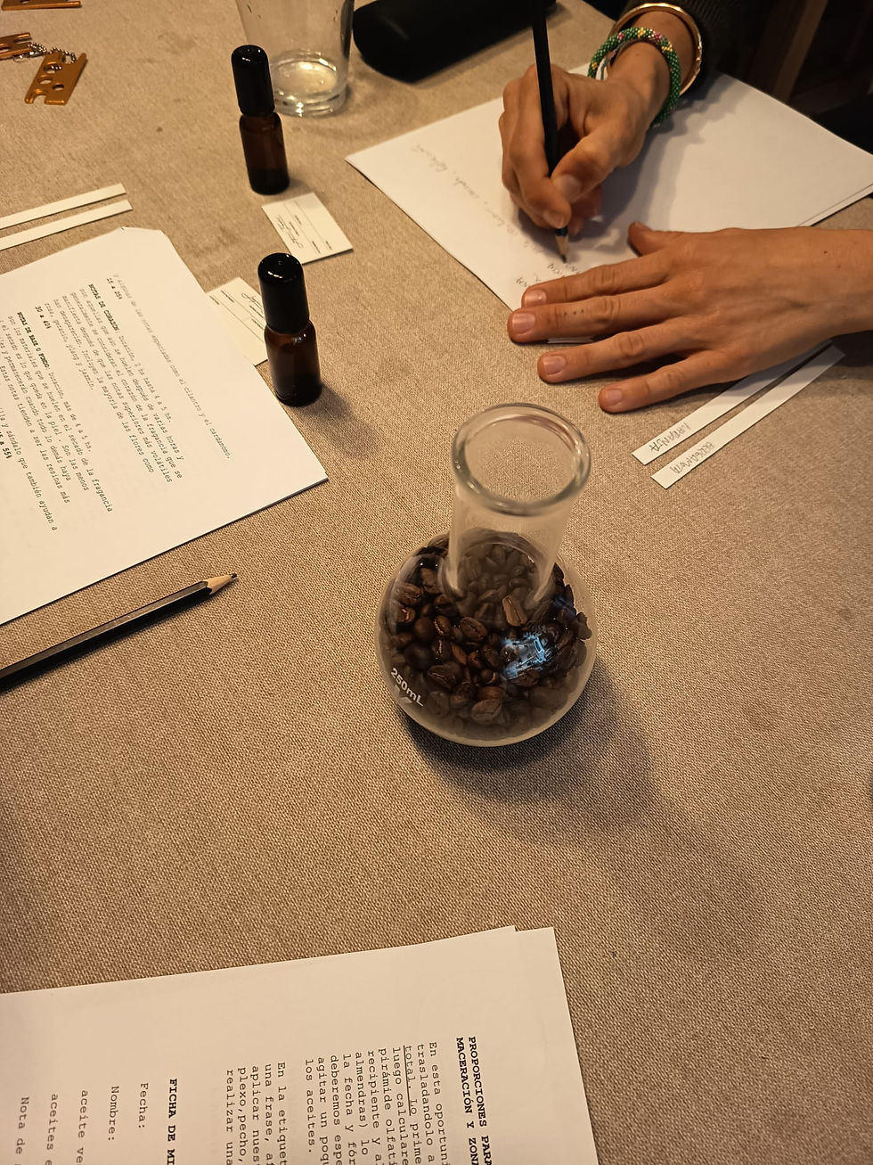 Miniatura: PERFUMERÍA BOTÁNICA