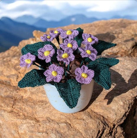 Miniaturbild: Primeli im Topf
