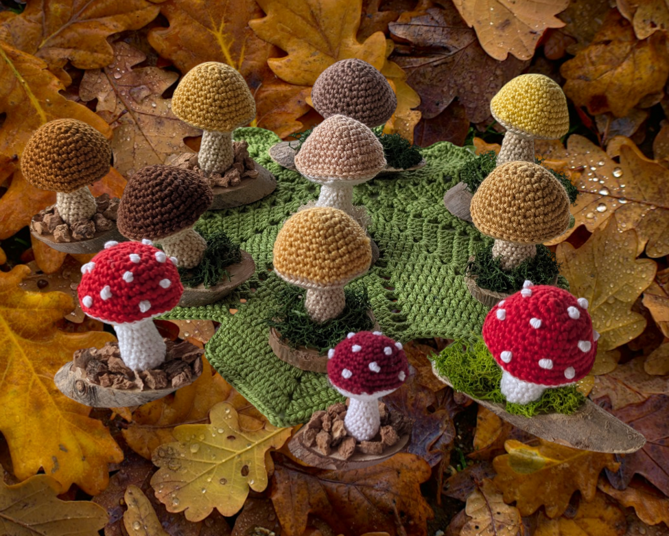 Miniaturbild: Pilz 