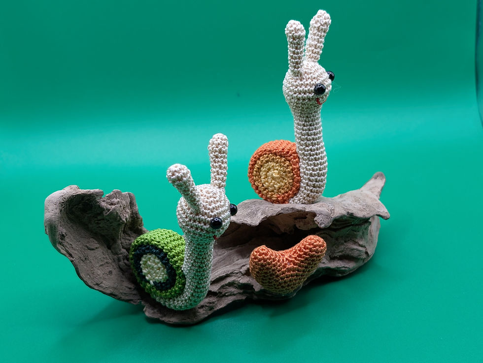 Miniaturbild: Schnecken auf Schwemmholz 