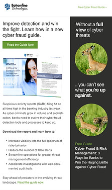 Bottomline Technologies Email