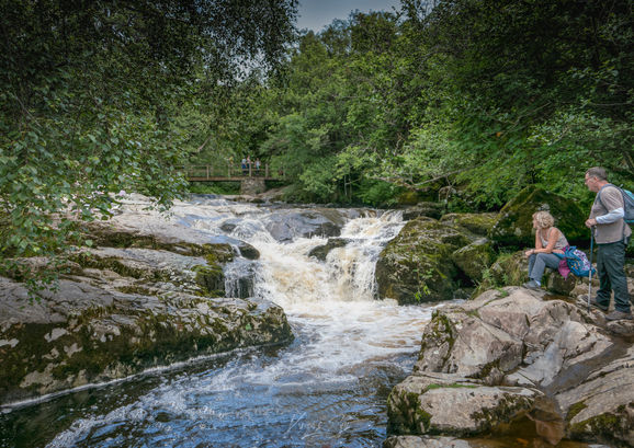 Aira Beck
Ullswater
Lake District