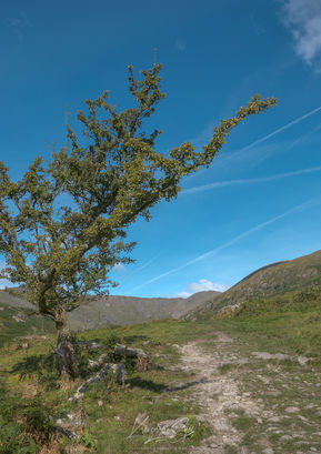 Rydal Beck
Rydal. Lake District. UK