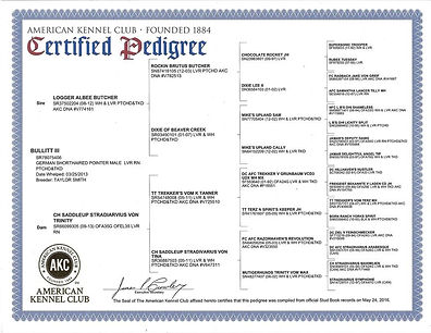 Bullitt Pedigree.jpg
