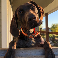 Screen Shot 2019-12-19 at 11.21.33 AM