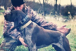 3e6a91cb8fb47447a71ef33731eca9de