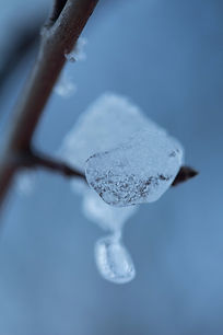blsnowcrystal3.jpglow res.jpg