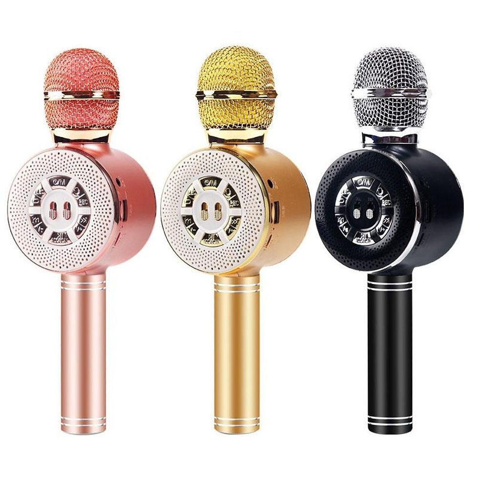Miniaturbild: Wireless mikrofon karaoke WS-669