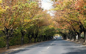 hahndorf_road.jpg