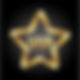 gold star.jpg