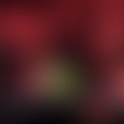 Iseo & Dodosound: Una Noche de Reggae y Magia en el Lunario