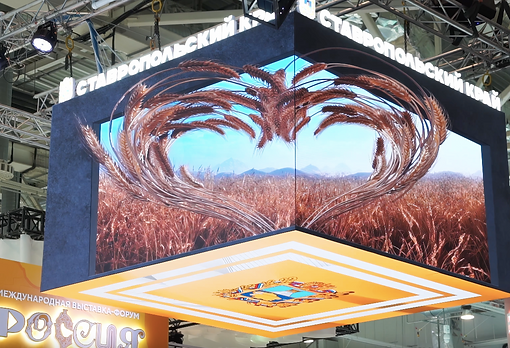 3д нейкид ай.png