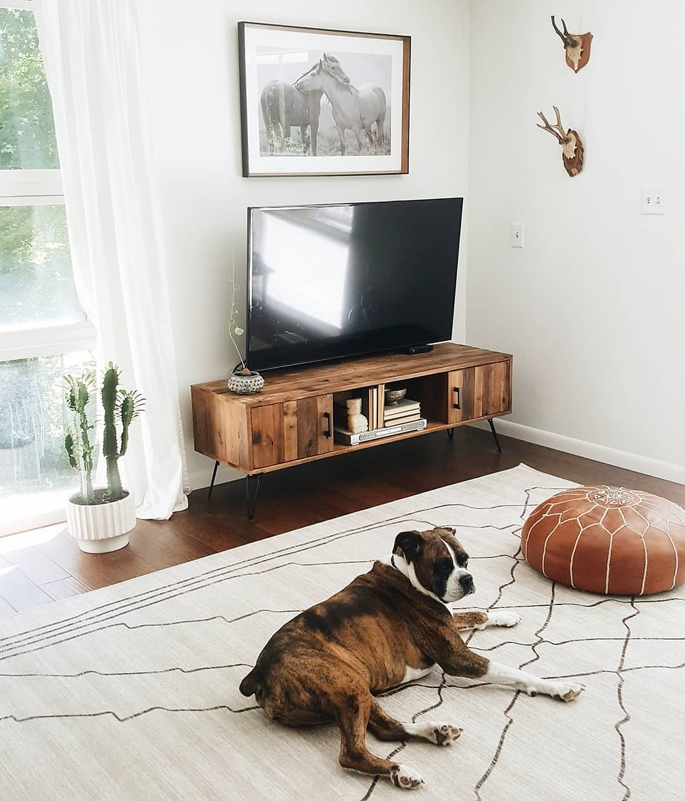 dog laying on a large white rug in white living room