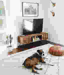 dog laying on a large white rug in white living room