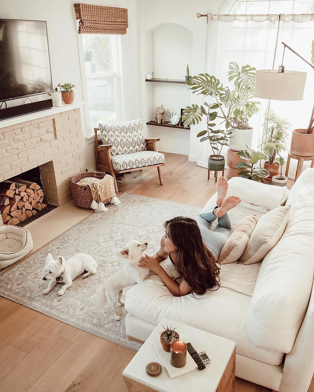 Cozy living room with a white rug and dog and girl