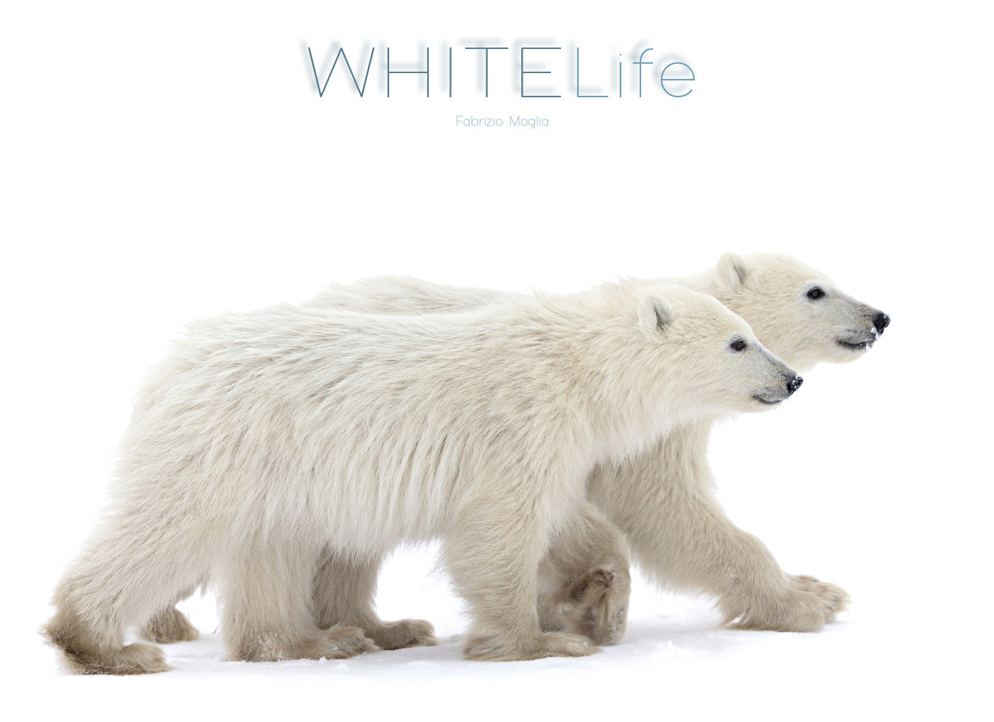 WHITELife by Naturecolors Fabrizio Moglia & Giulia Moglia & Chiara Cecchinato