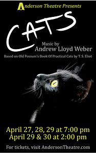 2017 Cats (04) .jpg
