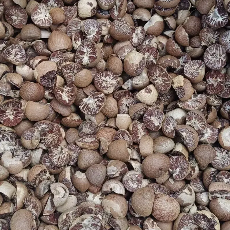 betel-nut-supplier
