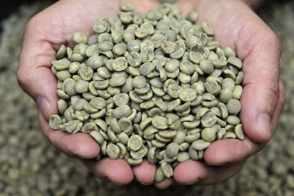 Cara-Kirim-Kopi-Green-Bean-ke-Luar-Negeri