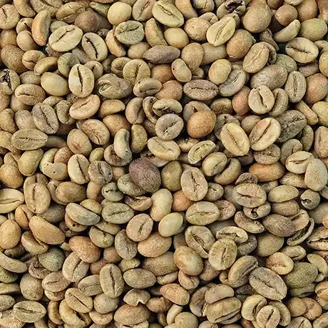 Gayo-Bali-Java-Natural