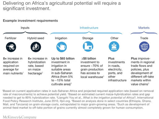 Africa's Food and Agriculture: The New Oil