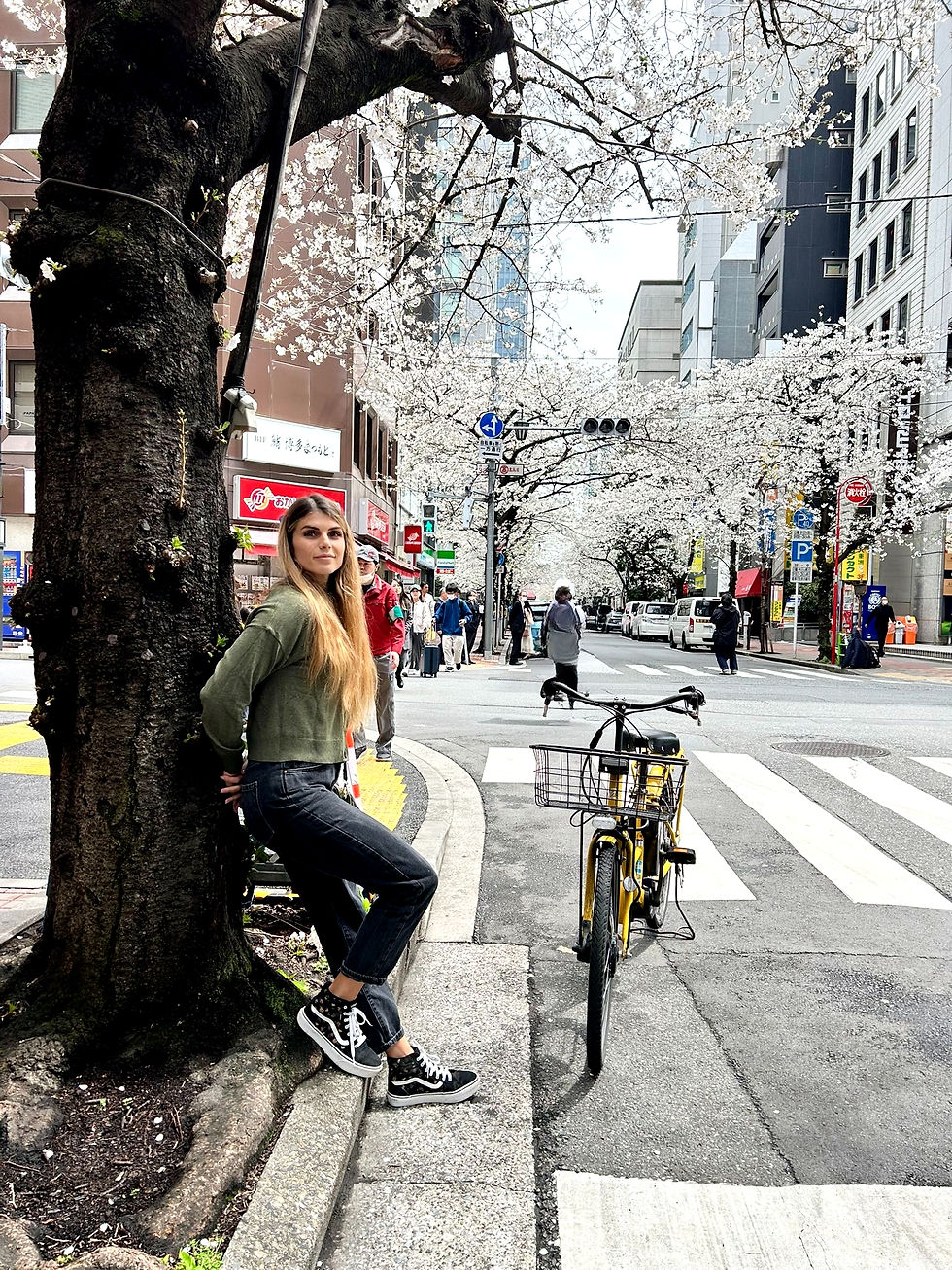 Tokyo: come arrivare dall’aeroporto, dove dormire, cosa vedere.