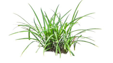 Hotels-Models14015 2_edit_new 2.jpg