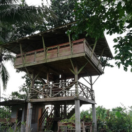 Tree House