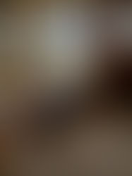 STARTING A DOG BLOG