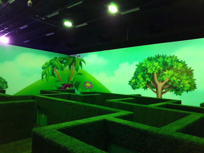 עיר הילדים של ניקולודיאון
תמונת מתחם מבוך