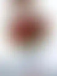 זר פרחים אדומים