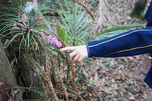 Imagens Adriana 387.JPG