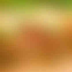 Antica Bottega del Pane - Panini