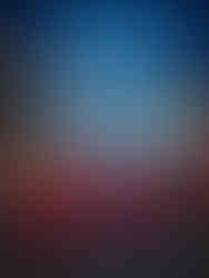 Santa Monica Pier and Ferris Wheel