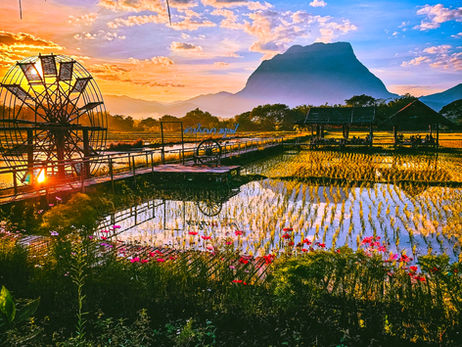 View of rice fields in Chiang Dao, and mountains of Chiang Dao. Khampanna Cafe Resort & Nature