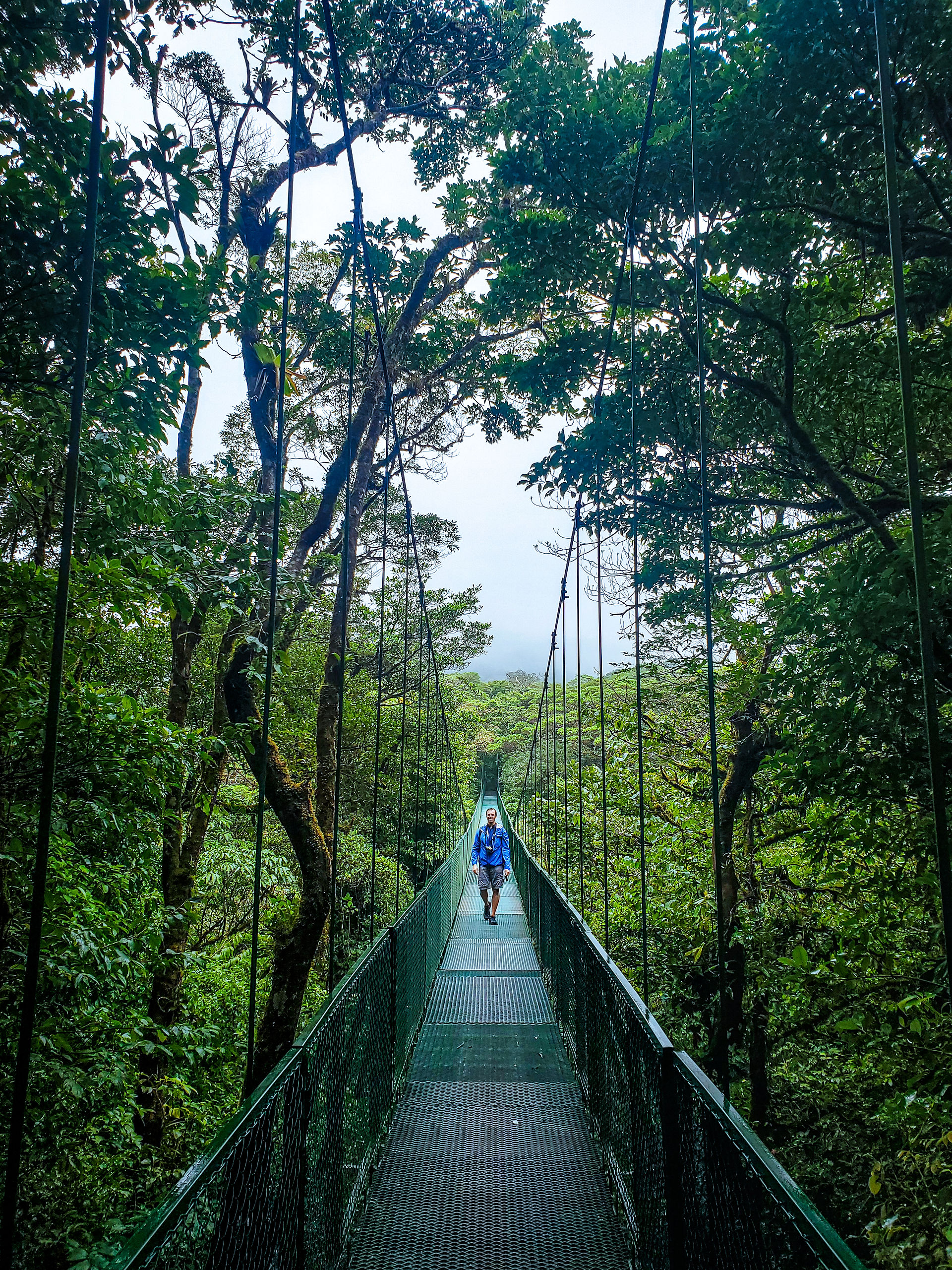 Monteverde Cloud Forest Biological Reserve bridge