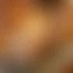 Antica Bottega del Pane - Whole Flour Bread