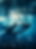 Whaler - 2.png