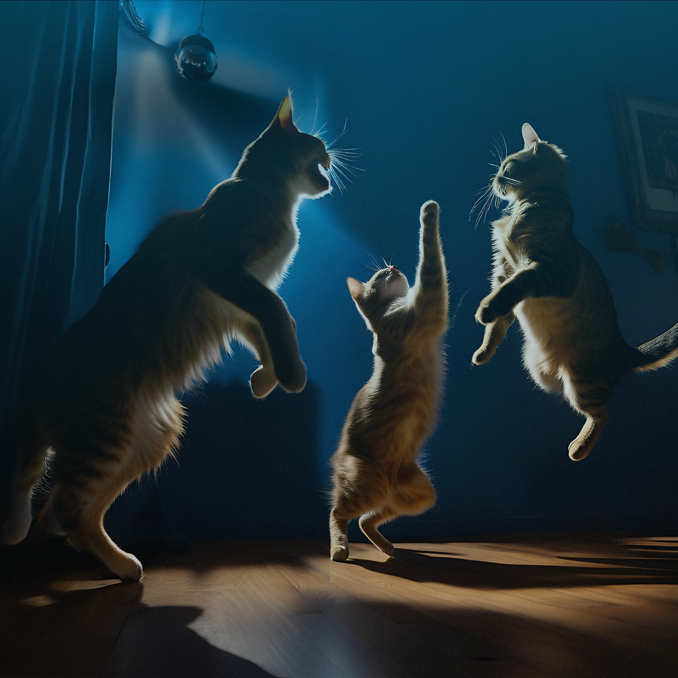 Herding Cats - 1.png