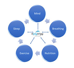The 5 fundamental factors of vitality
