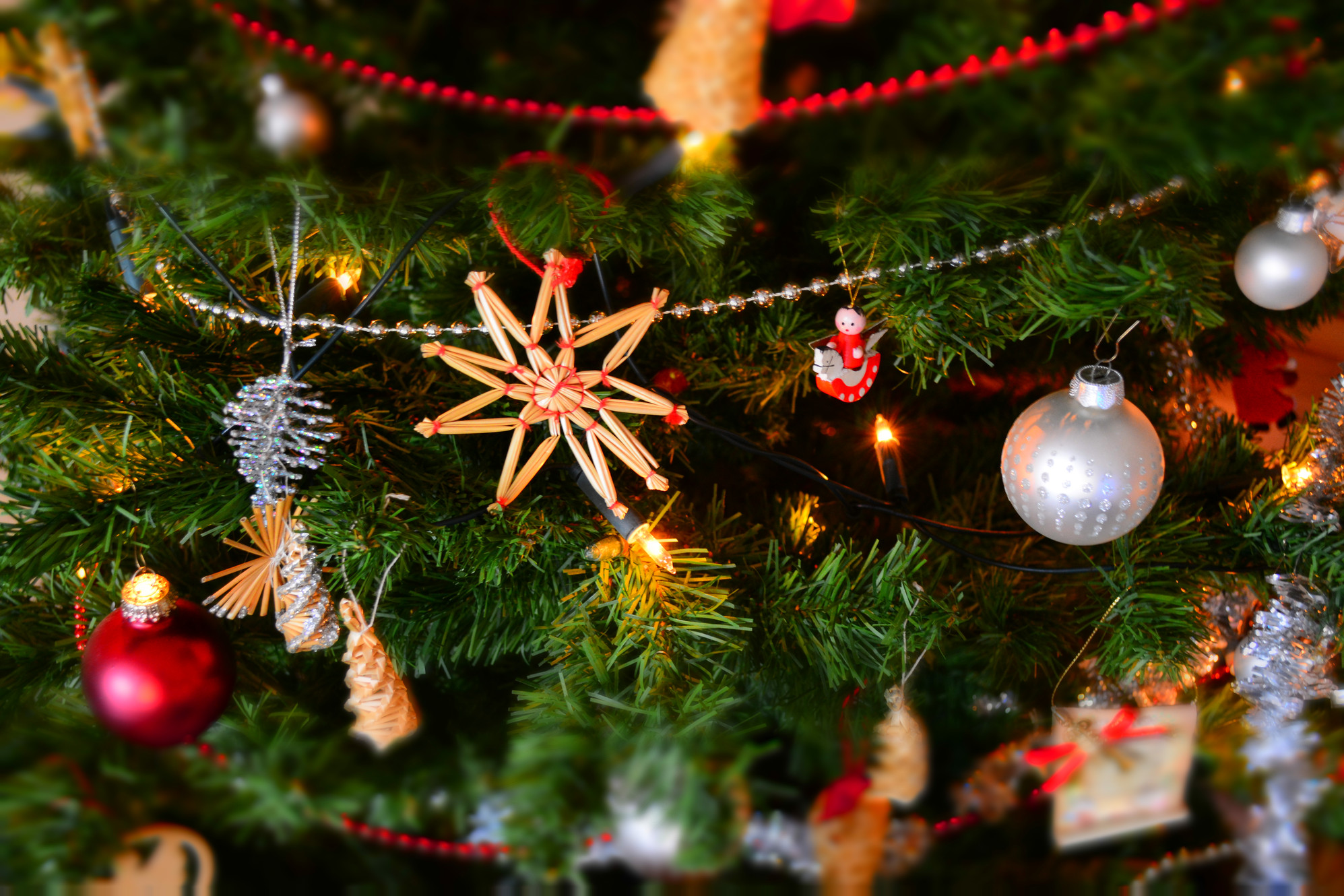 Christmas Tree Supplier