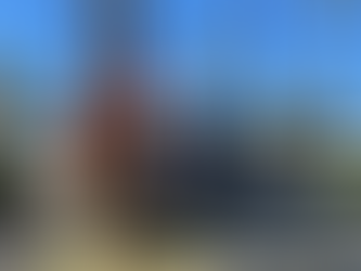 Palm Springs … 2 weeks was not enough!