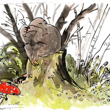 Illustration of a mole sitting on a stump in the forest, surrounded by trees.
