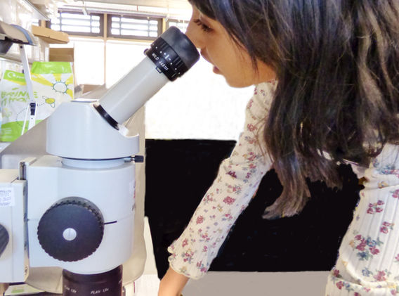 P2650838_A2_Inara (7.44MB).JPG