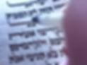 Sefer-Torah_edited_edited.jpg